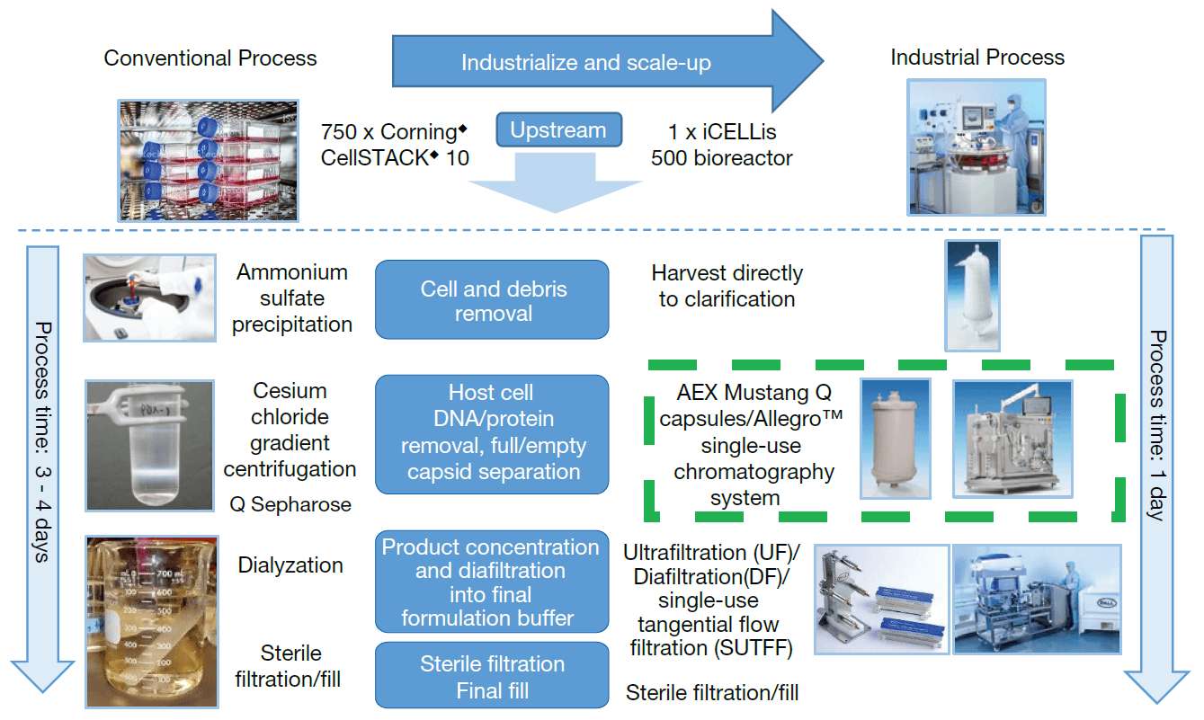 Industrialize and scale-up adenovirus purification