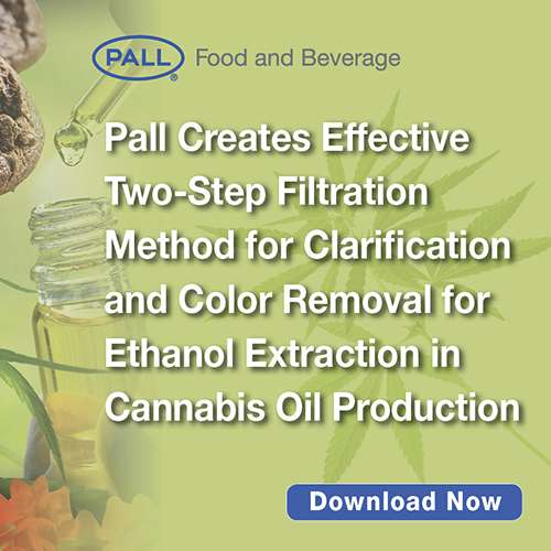 cannabis oil ethanol banner