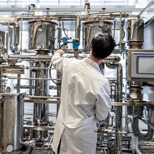 Premium protein production