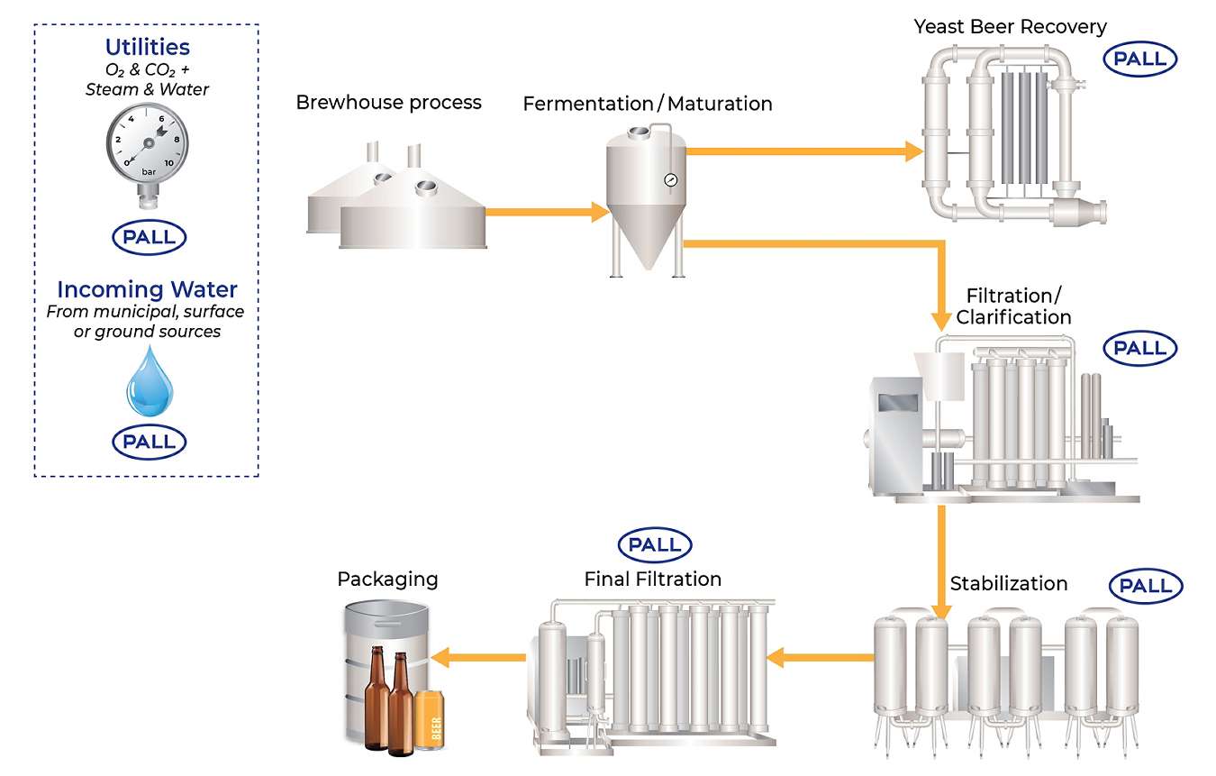 Corporate Beer Filter Process