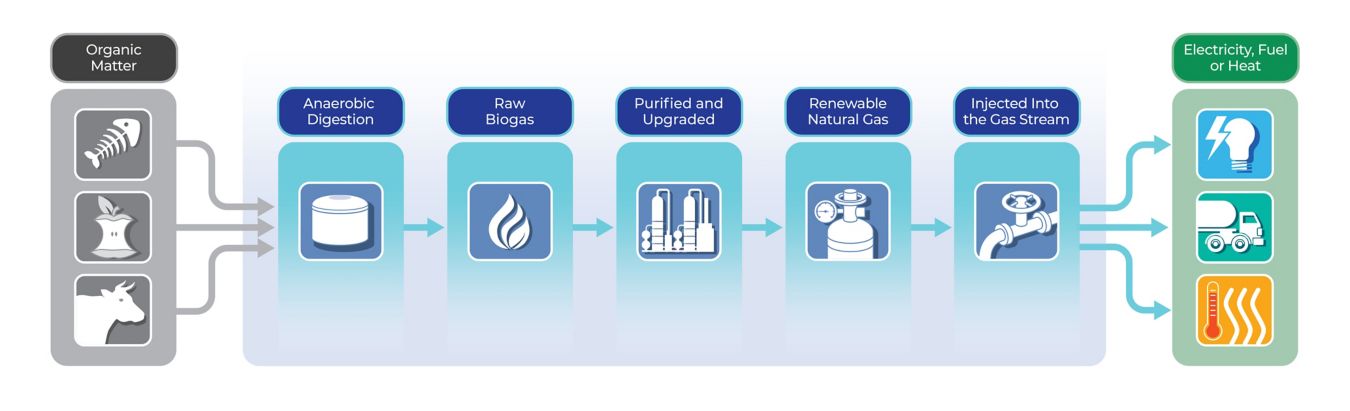Steps in RNG Filtration