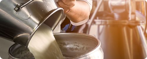 Dairy technician monitoring whey protein concentration process