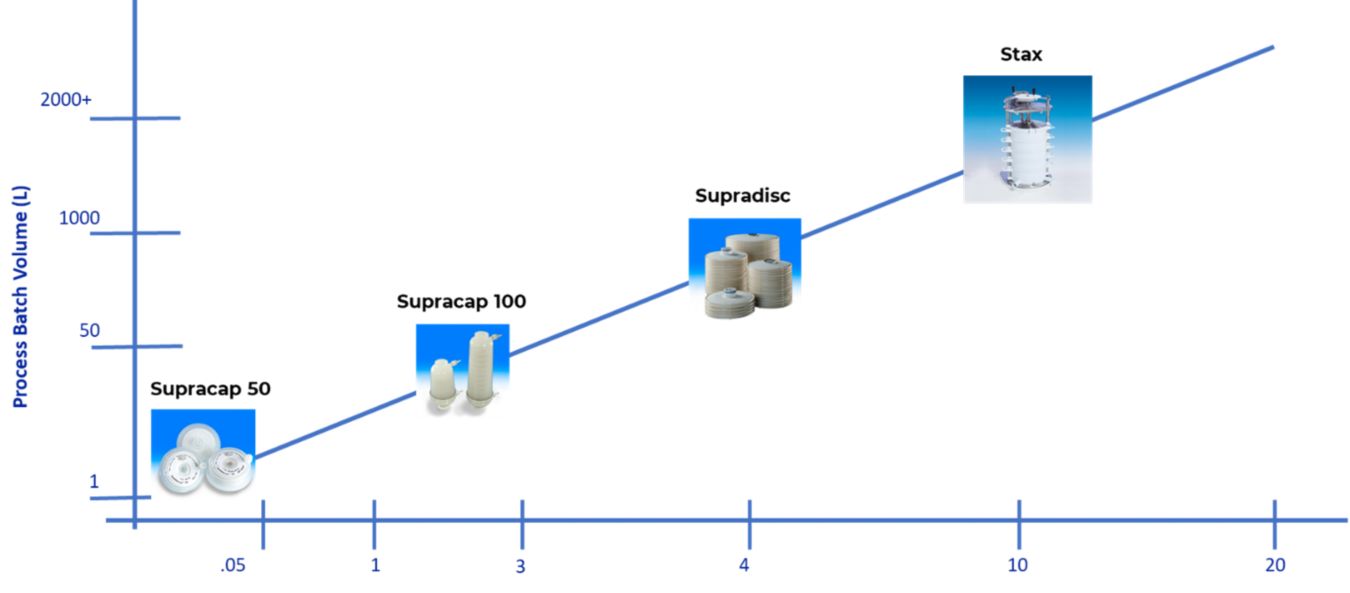 Device format by process scale