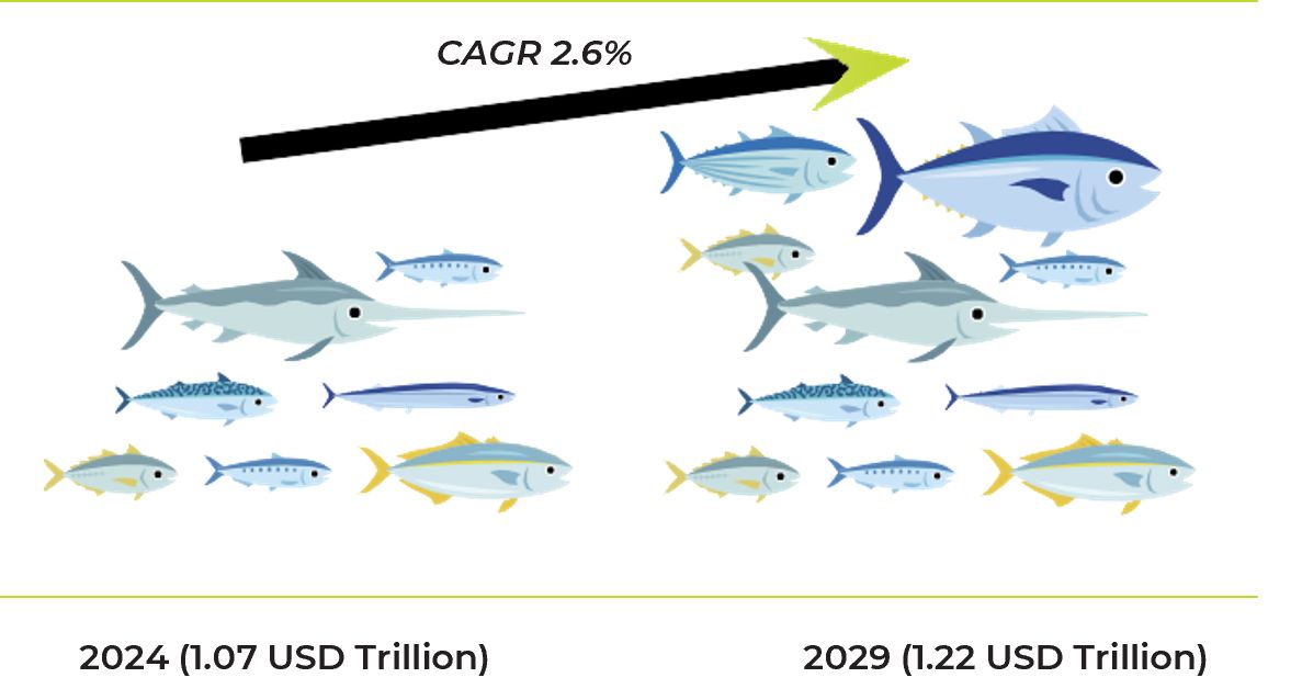 World fish market growth