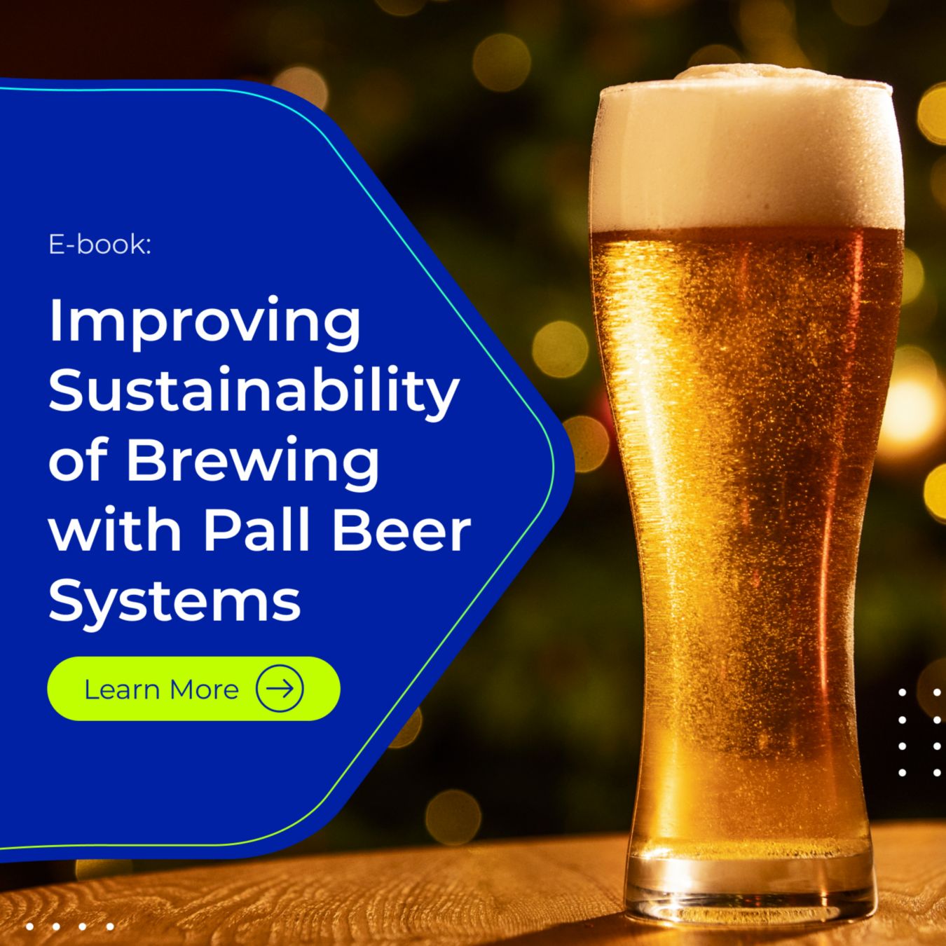 Improving Sustainability of Brewing with Pall Beer Systems
