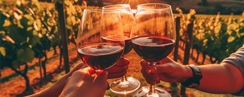 Wine Final Filtration