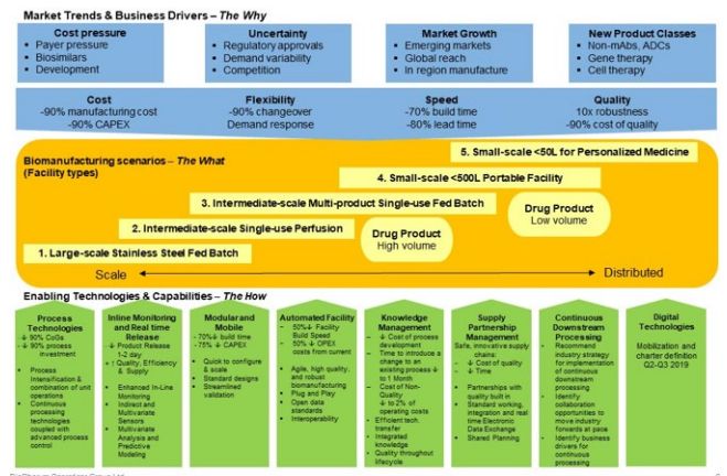 market-trends-and-business-drivers