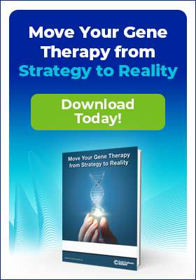 Moving Your Gene Therapy from Strategy to Reality