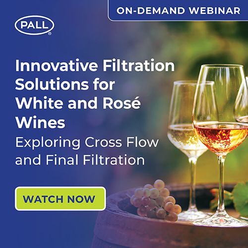 Innovative Filtration Solutions for White and Rosé Wines