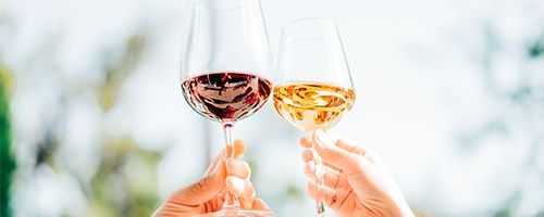 Wine Final Filtration