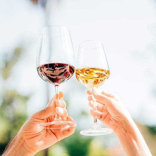 White and rosé wine glasses representing depth filtration improving clarity, colour stability, and flavour consistency in winemaking.