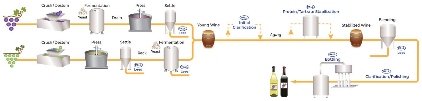 Filtration in Wine Making