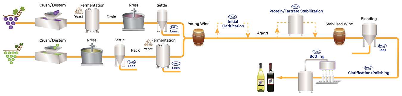 Wine Filtration Process