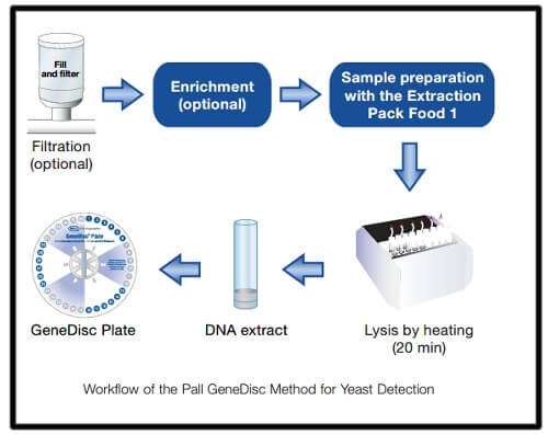 Workflow of the Pall GeneDisc method for yeast detection